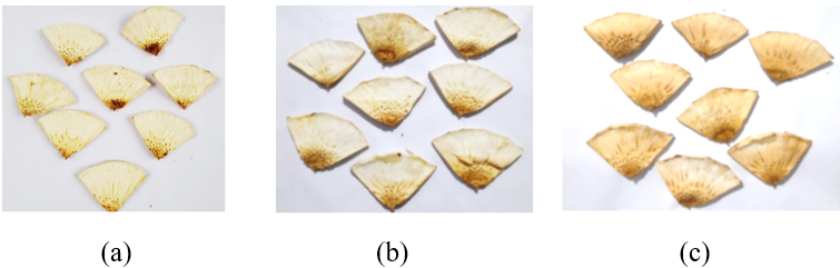 A group of slices of pineapple

AI-generated content may be incorrect.