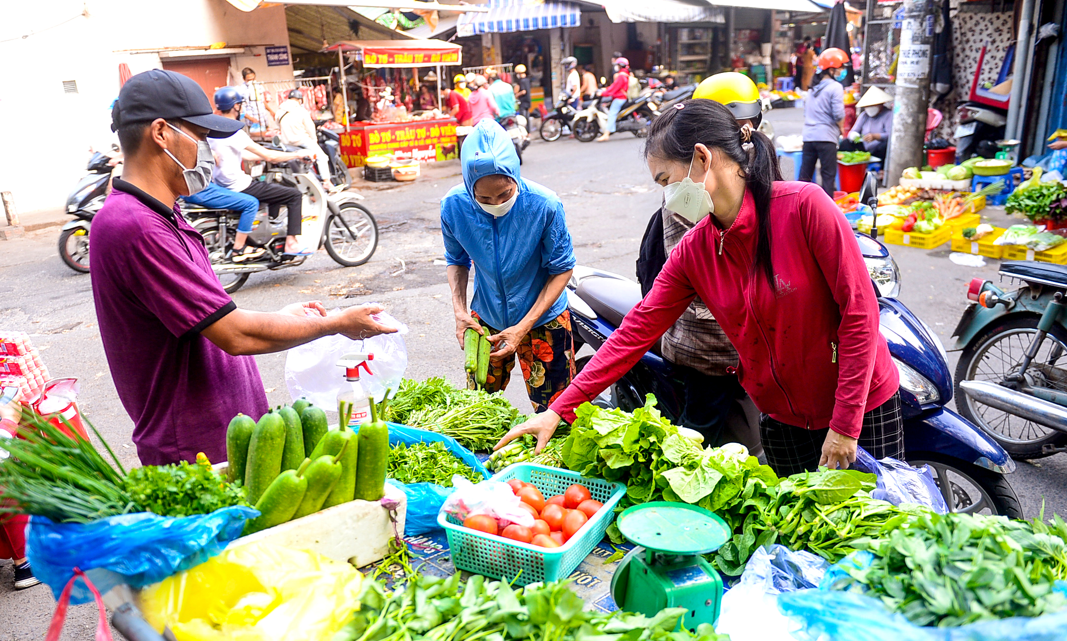 qdchotansonnhat9-16500754305941249583647.jpg