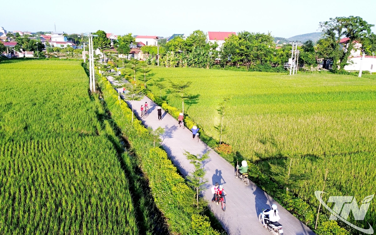nang-cap1_20251006081220.jpg?width=1800