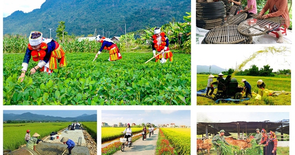 Đẩy nhanh Chương trình mục tiêu quốc gia xây dựng nông thôn mới và giảm nghèo bền vững 2026