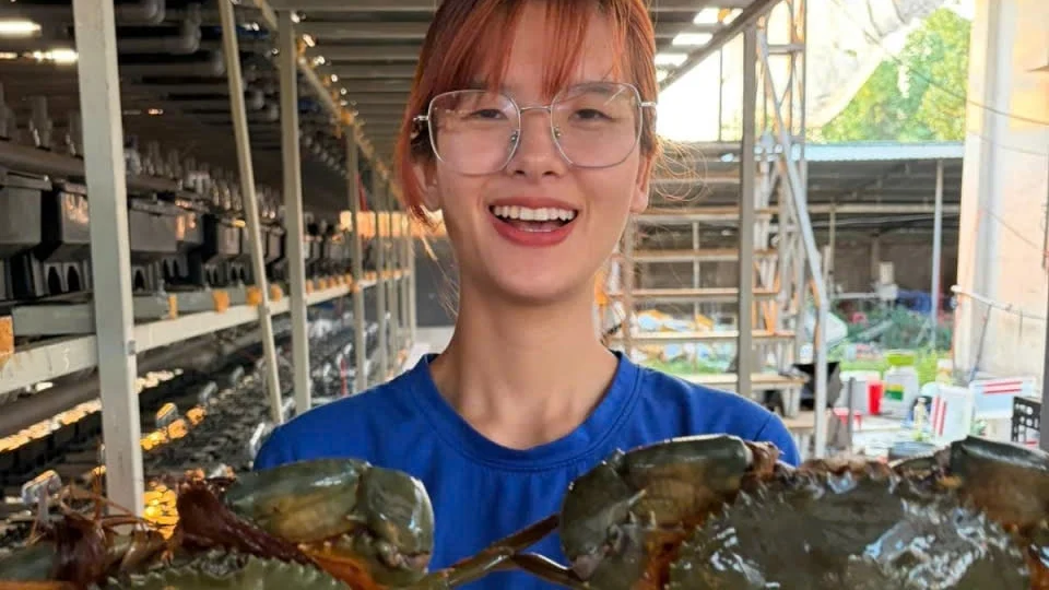 Hệ thống nuôi cua lột ứng dụng AI giúp kiểm soát môi trường và nâng cao tỷ lệ sống của cua xuất khẩu.