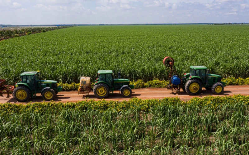 Nông dân tham gia chuỗi giá trị nông nghiệp của AgriS được hỗ trợ kỹ thuật, vốn và tiêu chuẩn canh tác quốc tế, góp phần nâng cao thu nhập và phát triển sản xuất bền vững.