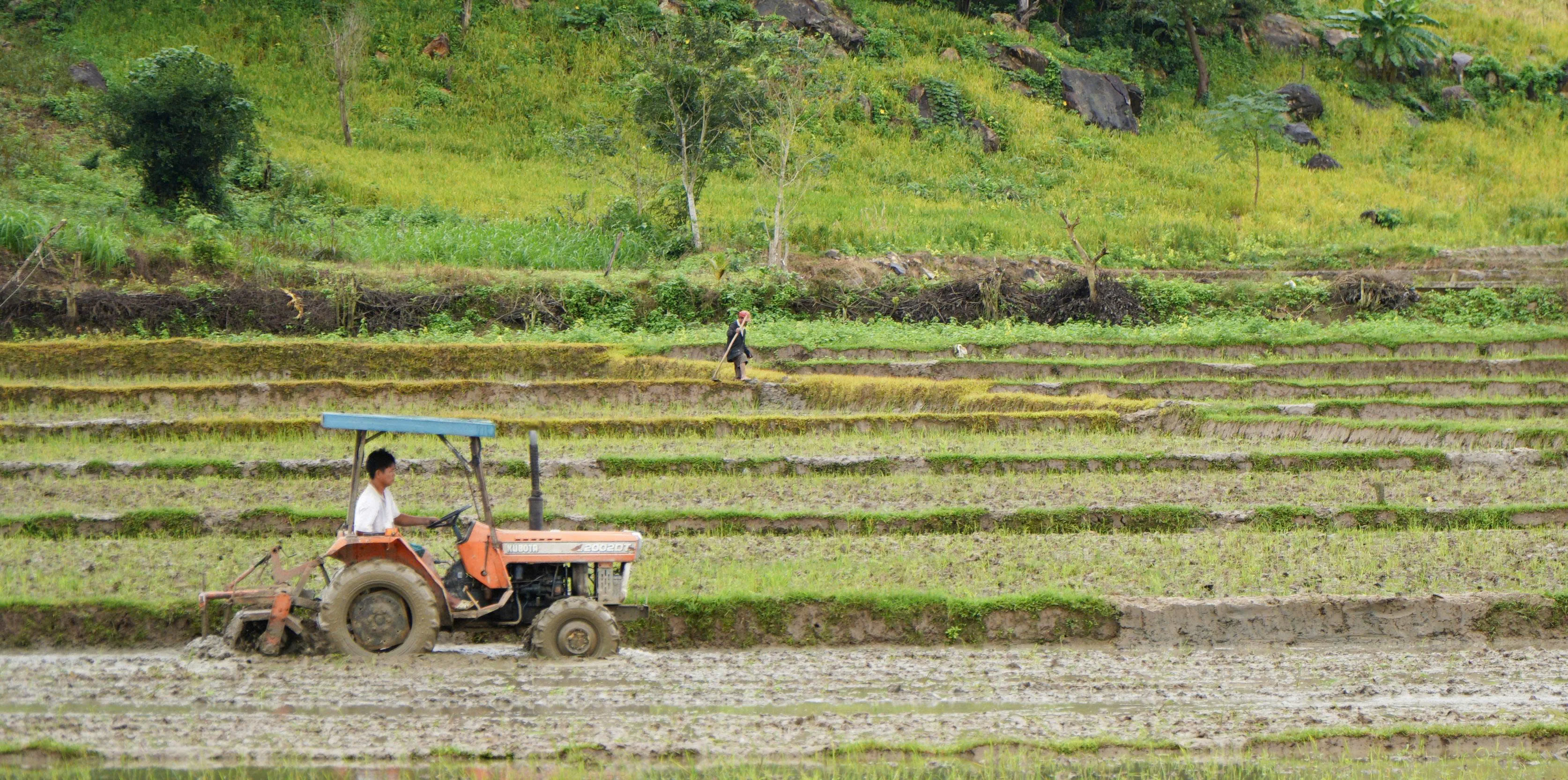 Người dân xã Suối Trai từng bước chuyển đổi cơ cấu cây trồng phù hợp với điều kiện địa phương, góp phần nâng cao hiệu quả sản xuất và phát triển kinh tế bền vững.