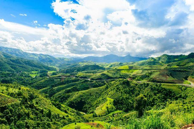 Hòa Bình sở hữu hệ sinh thái rừng phong phú cùng nguồn tài nguyên tre, nứa dồi dào, tạo điều kiện thuận lợi để phát triển các sản phẩm OCOP từ măng đạt tiêu chuẩn quốc gia.