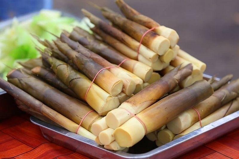 Những cánh rừng tre, nứa trải rộng tại Hòa Bình là nguồn nguyên liệu quan trọng cho ngành chế biến măng và phát triển các sản phẩm OCOP chất lượng cao.