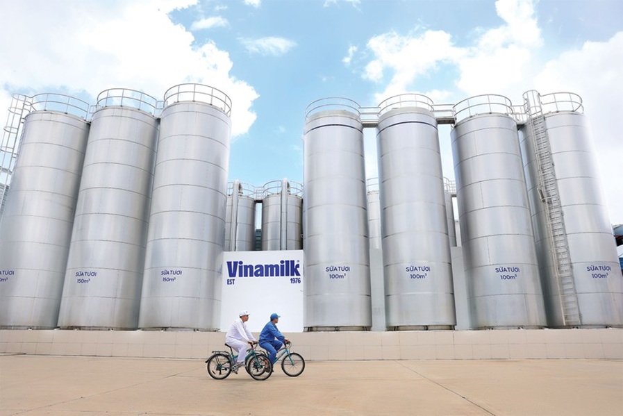 Vinamilk có những đơn vị đầu tiên đạt trung hòa carbon theo tiêu chuẩn quốc tế ISO 14068-1 đối với phạm vi phát thải trực tiếp và giảm phát thải từ năng lượng sử dụng.