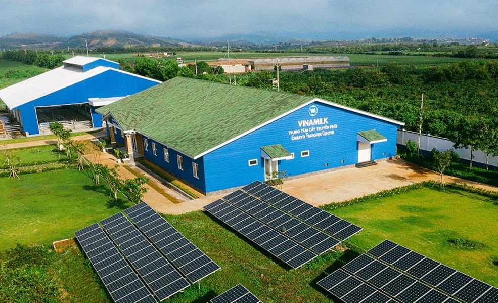 Năng lượng mặt trời tại trang trại của Vinamilk