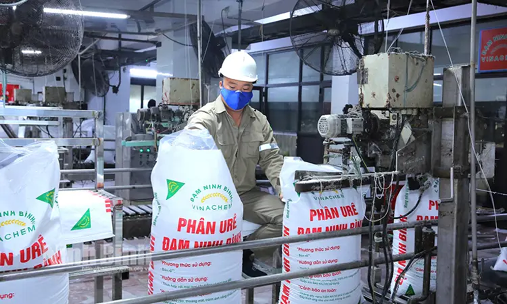 Đạm Ninh Bình nâng cao chất lượng sản phẩm, mở rộng thị trường trong và ngoài nước