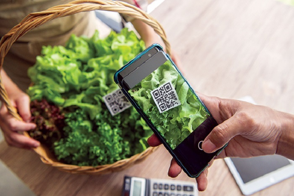 Mã QR trên nông sản: Xu hướng tất yếu trong minh bạch hóa và chuyển đổi số nông nghiệp Việt Nam