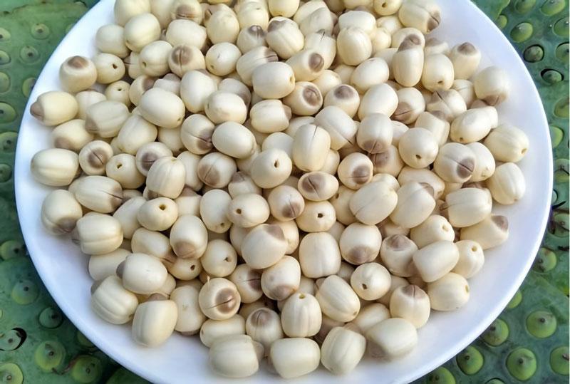 Hạt sen tươi được tuyển chọn kỹ lưỡng trước khi đưa vào chế biến nhằm bảo đảm chất lượng và giữ trọn giá trị dinh dưỡng.