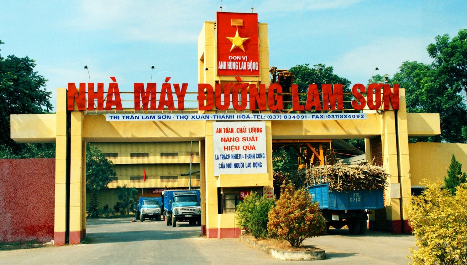 Mía đường Lam Sơn và câu chuyện phía sau những cánh đồng mía xứ Thanh