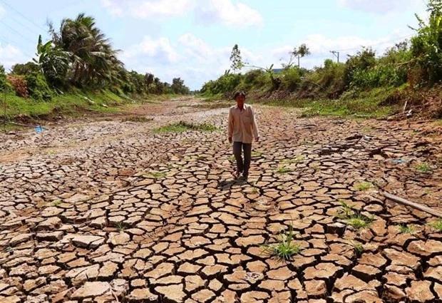 Tình trạng hạn hán và xâm nhập mặn trong đợt El Niño 2015-2016 từng gây ảnh hưởng nghiêm trọng đến sản xuất nông nghiệp và đời sống người dân tại nhiều địa phương.