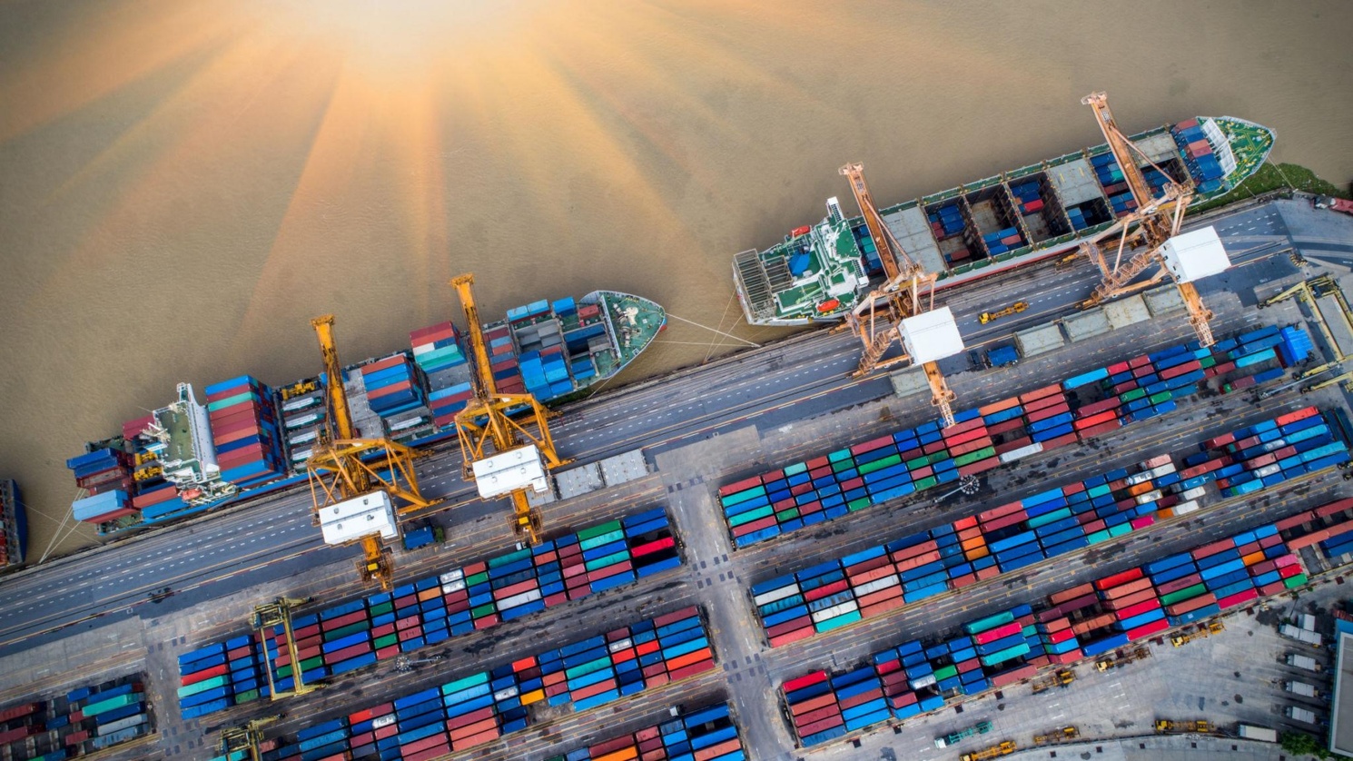 Nông sản Việt trước áp lực của các hàng rào kỹ thuật toàn cầu: Câu chuyện từ Phúc Sinh Group
