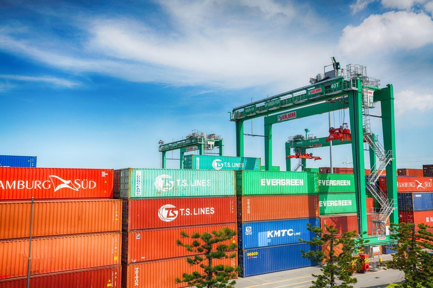 Công ty Hà Mỵ – Hành trình từ hạt điều Bình Phước đến OCOP 5 sao và khát vọng nâng tầm nông sản Việt