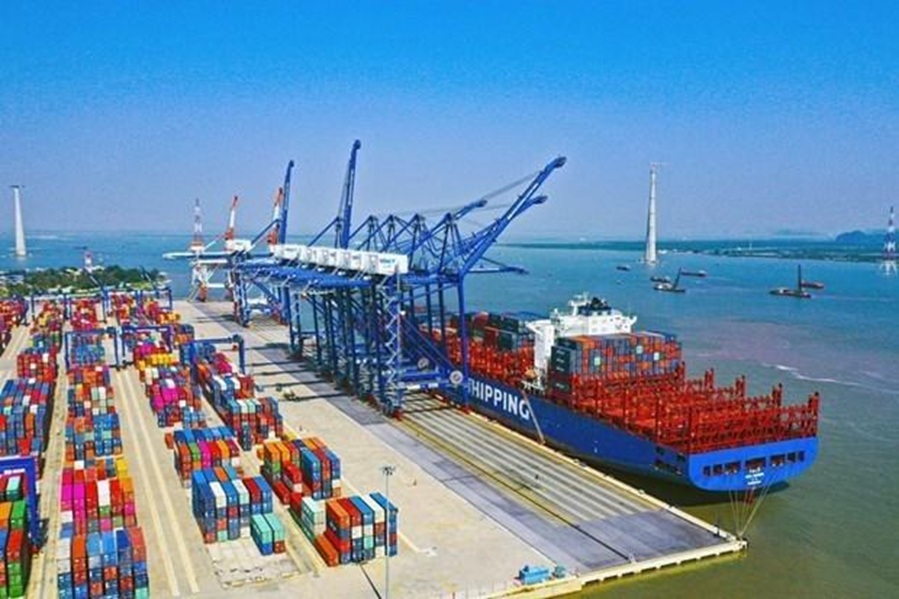 Xuất khẩu nông sản sang EU: Khi chuỗi giá trị Việt Nam phải “đi qua cửa hẹp” tiêu chuẩn quốc tế
