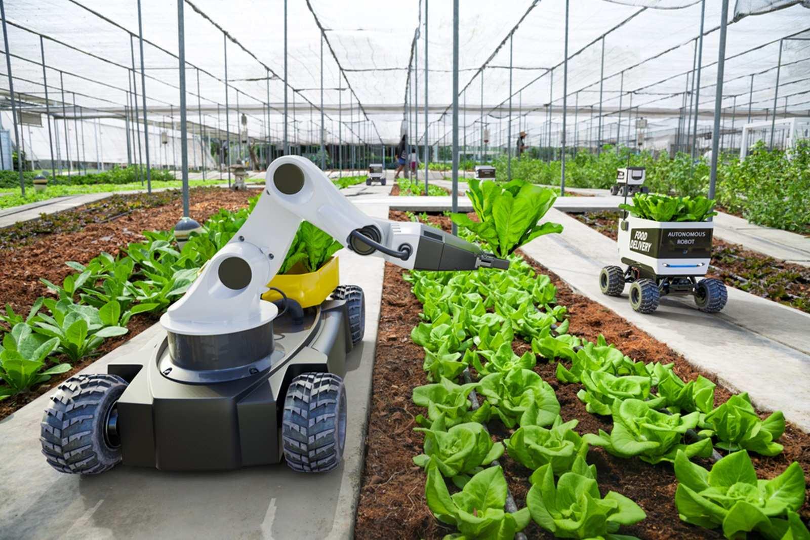 Robot nông nghiệp đang trở thành công cụ quan trọng giúp nâng cao năng suất và thúc đẩy quá trình chuyển đổi số trong sản xuất nông nghiệp.