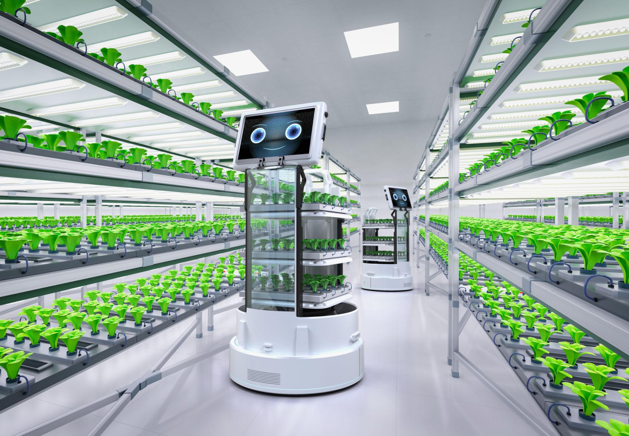 Robot kết hợp AI và dữ liệu lớn đang tạo nền tảng cho nền nông nghiệp thông minh thế hệ mới.