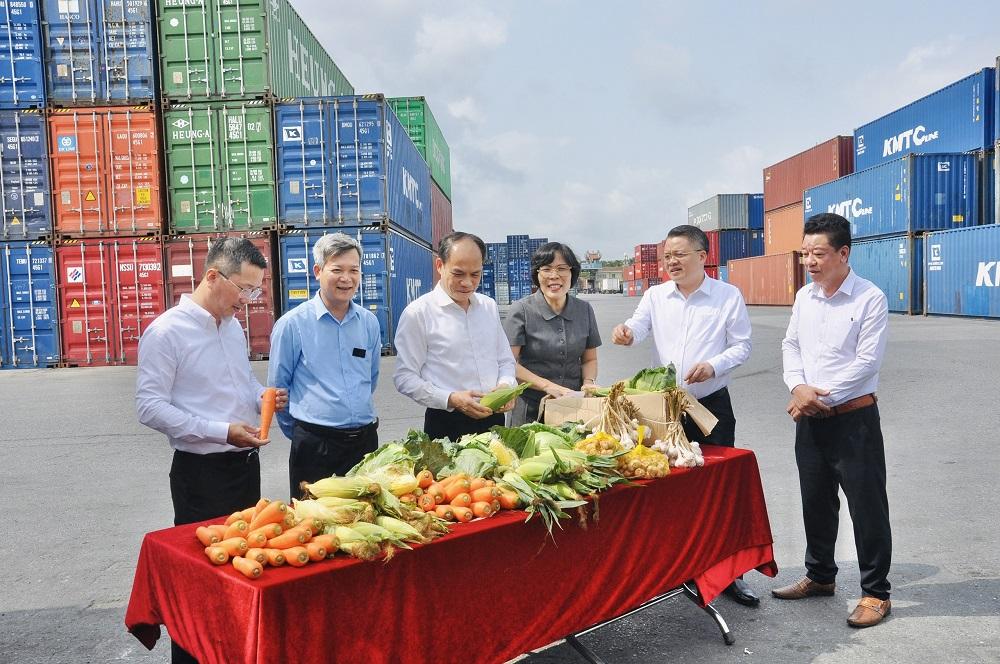Xuất khẩu nông lâm thủy sản tiếp tục duy trì đà tăng trưởng trong những tháng đầu năm 2026.