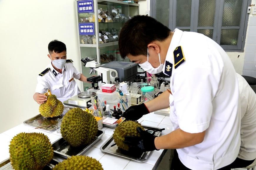 Hoạt động đóng gói và xuất khẩu nông sản Việt Nam với đầy đủ thông tin truy xuất nguồn gốc, đáp ứng yêu cầu của các thị trường quốc tế.