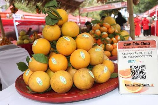 Việc ứng dụng mã QR giúp người tiêu dùng và đối tác dễ dàng tra cứu thông tin sản phẩm, nâng cao niềm tin đối với nông sản Việt Nam.