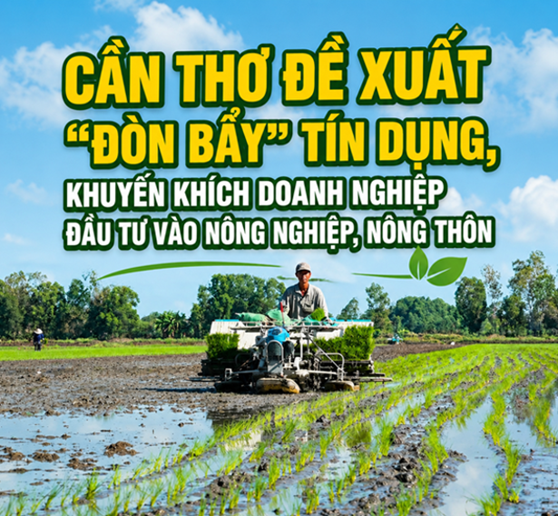 Cần Thơ đề xuất "đòn bẩy" tín dụng, khuyến khích doanh nghiệp đầu tư vào nông nghiệp, nông thôn
