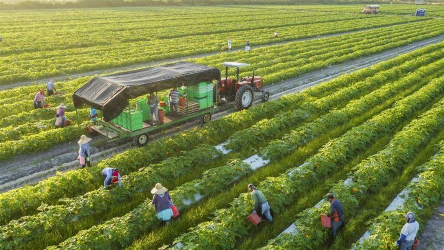 Tiêu dùng xanh được kỳ vọng sẽ góp phần thúc đẩy sản xuất xanh, nâng cao giá trị sản phẩm và hướng tới phát triển bền vững.