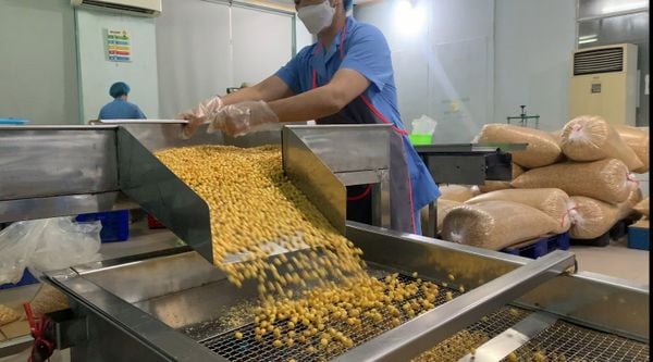Minh Dương Food: Ngô nếp tươi sấy đạt OCOP 5 sao quốc gia