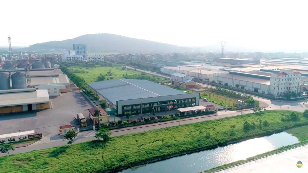Tập đoàn Dabaco: Bên trong hệ thống sản xuất 300 triệu quả trứng mỗi năm