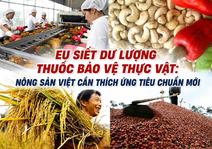 EU siết dư lượng thuốc bảo vệ thực vật: Nông sản Việt cần thích ứng tiêu chuẩn mới