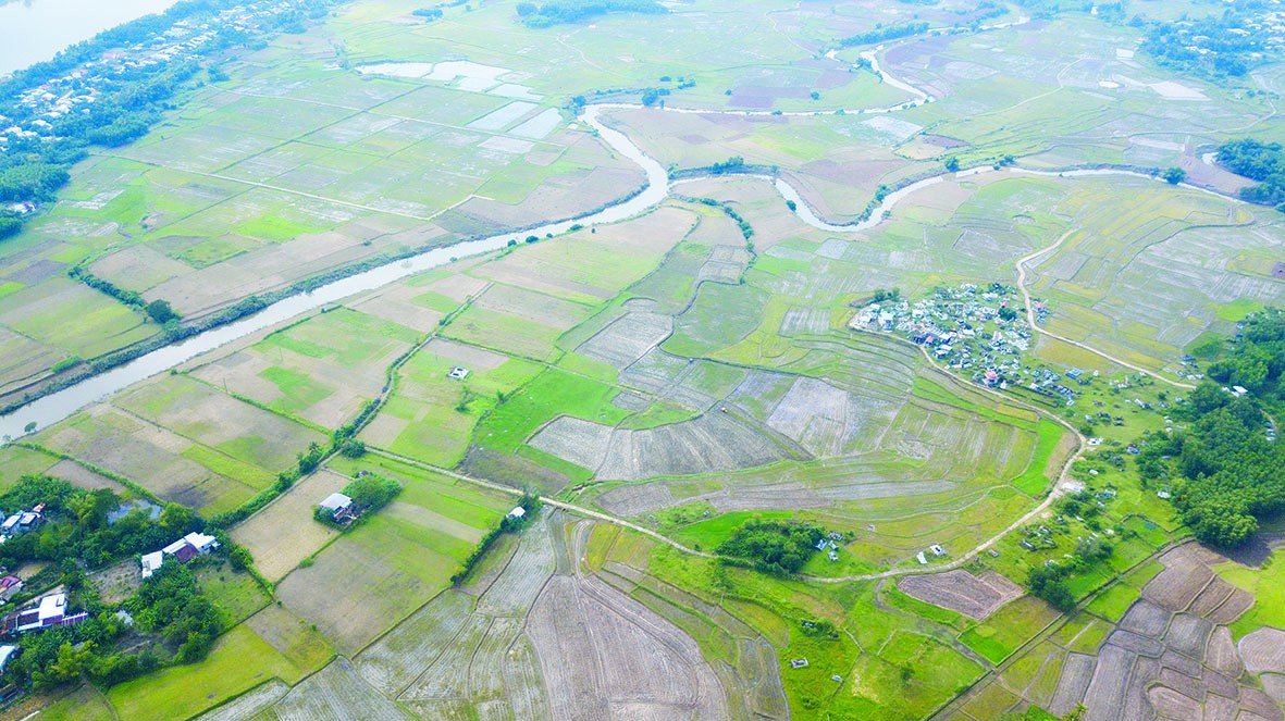 Nông nghiệp hữu cơ Việt Nam: Làn sóng tái cấu trúc nông nghiệp sinh thái và chuỗi giá trị xanh
