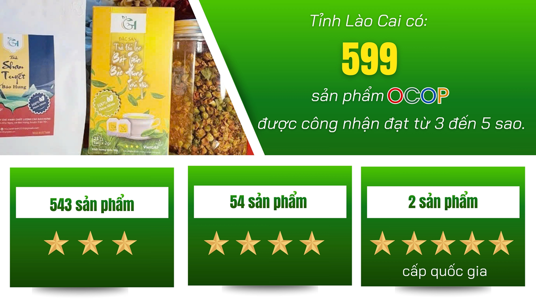 OCOP Lào Cai: Đánh thức tiềm năng đặc sản vùng cao, tạo động lực phát triển kinh tế nông thôn