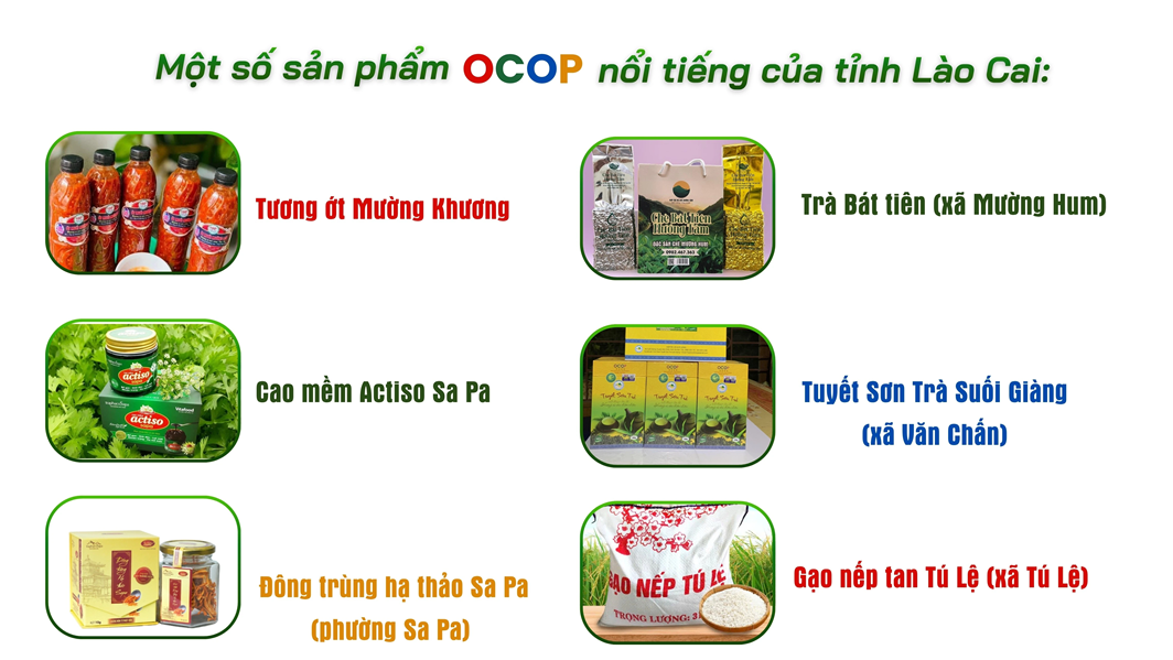 OCOP Lào Cai: Đánh thức tiềm năng đặc sản vùng cao, tạo động lực phát triển kinh tế nông thôn