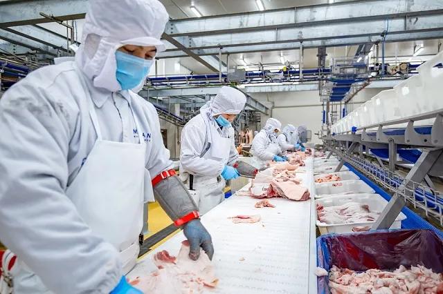 Dây chuyền sản xuất thực phẩm đạt chuẩn tại Vissan kết hợp hệ thống truy xuất nguồn gốc điện tử, góp phần bảo đảm chất lượng và minh bạch thông tin sản phẩm đến tay người tiêu dùng.