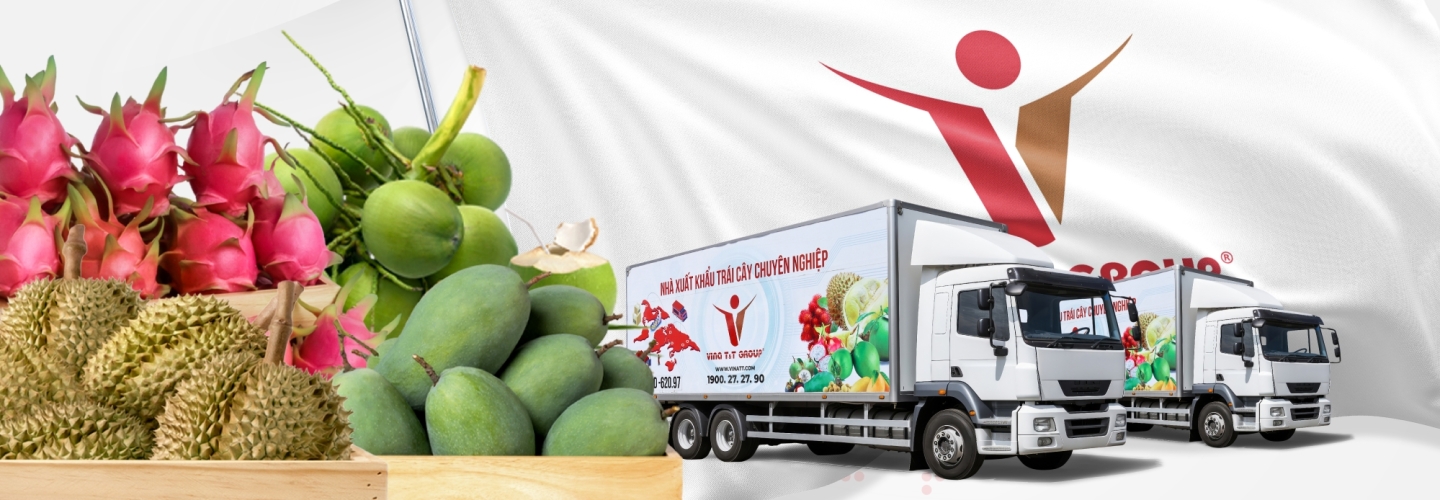 Vina T&T Group đồng hàng cùng Trị An phát triển chuỗi giá trị bưởi xuấ