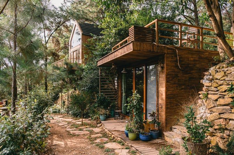 Những căn bungalow nằm giữa rừng thông tạo cảm giác gần gũi với thiên nhiên và thích hợp cho các chuyến nghỉ dưỡng cuối tuần.