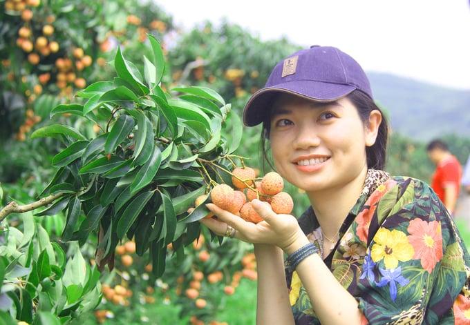 Du khách trải nghiệm các hoạt động nông nghiệp và khám phá làng nghề truyền thống tại khu vực nông thôn, góp phần thúc đẩy phát triển du lịch cộng đồng gắn với chuyển đổi số và bảo tồn giá trị văn hóa bản địa.