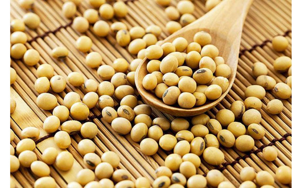 Tổng quan về vai trò dự phòng bệnh lý tim mạch của Nattokinase – Một sản phẩm được bào chế từ đậu nành