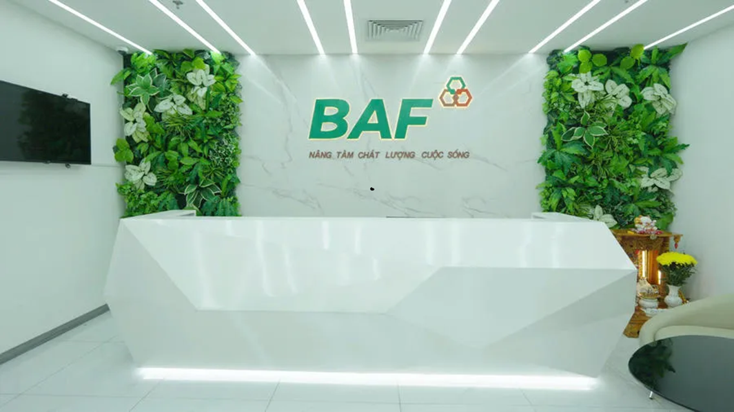BAF Việt Nam nâng vốn lên hơn 3.600 tỷ đồng sau loạt phát hành cổ phiếu