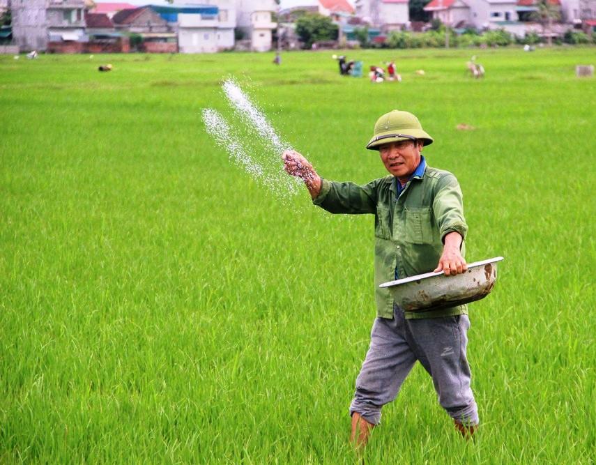 Ngành phân bón Việt Nam đứng trước yêu cầu tái cấu trúc theo hướng tăng tự chủ nguồn nguyên liệu, đẩy mạnh đổi mới công nghệ và chuyển đổi xanh.