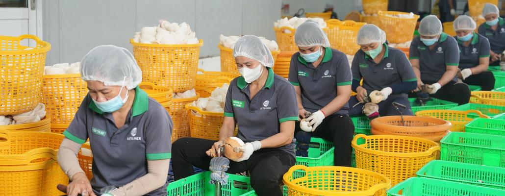Một hecta đất, nhiều nguồn thu: Nông nghiệp đa giá trị đang lên ngôi