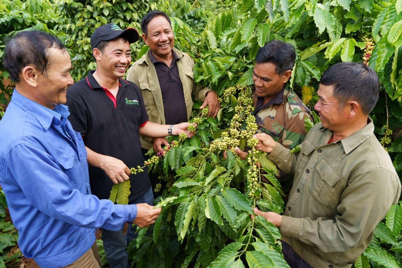 Vì sao doanh nghiệp đang thay đổi cách thu mua nông sản?