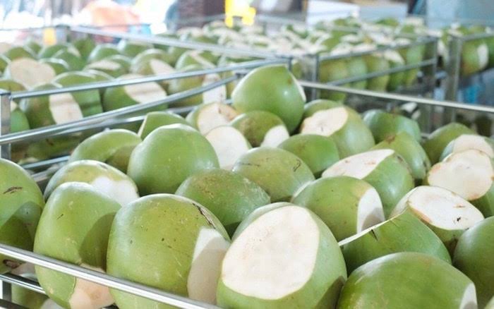 Ngành dừa Việt Nam: Khi lợi thế không còn nằm ở vườn cây