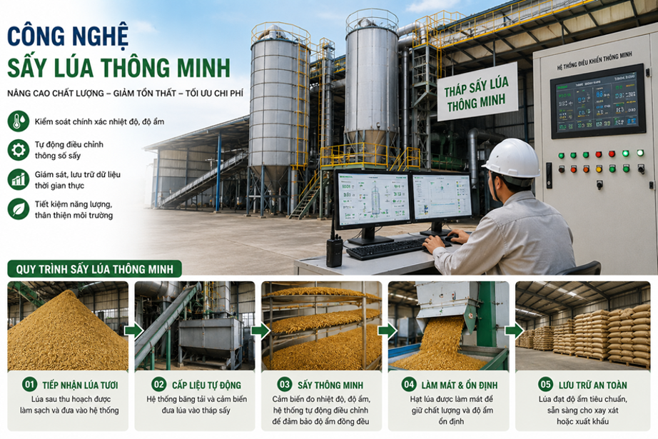 Không chỉ làm khô lúa: Công nghệ sấy thông minh đang tái định hình chất lượng gạo xuất khẩu