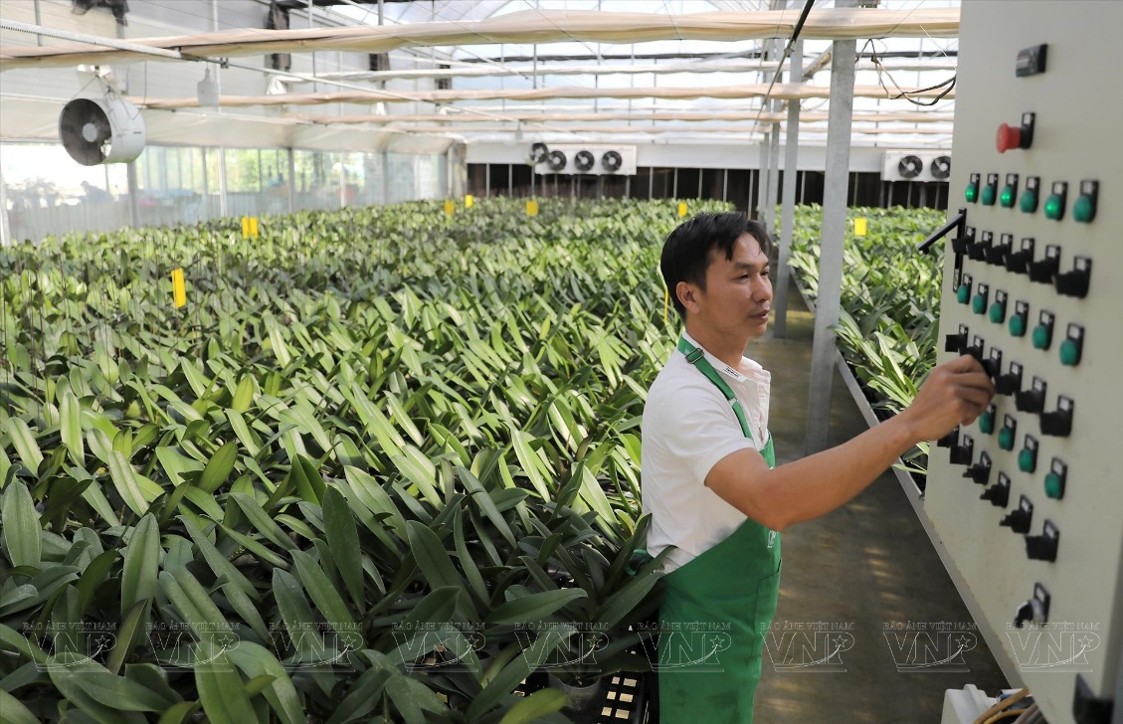Mô hình trồng hoa công nghệ cao, áp dụng máy móc hiện đại tại Mê Linh F Farm
