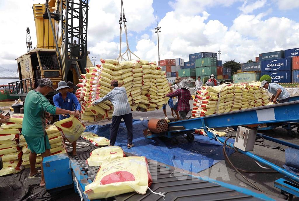 Nông lâm thủy sản Việt Nam: Xuất khẩu gần 36 tỷ USD, thị trường biến động mạnh