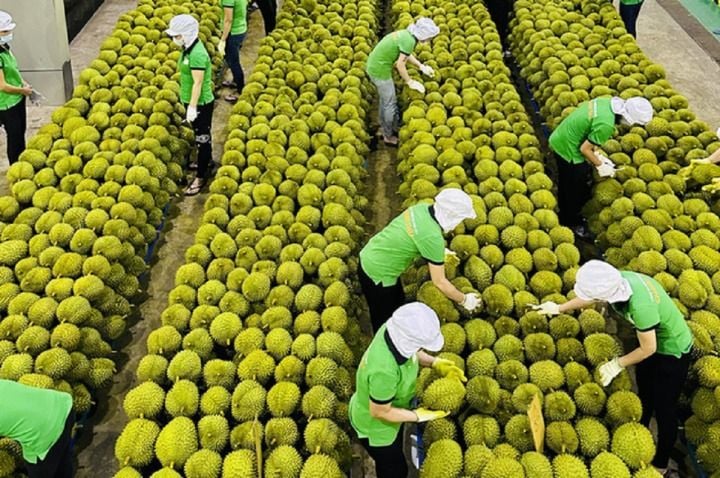 Nông lâm thủy sản Việt Nam: Xuất khẩu gần 36 tỷ USD, thị trường biến động mạnh