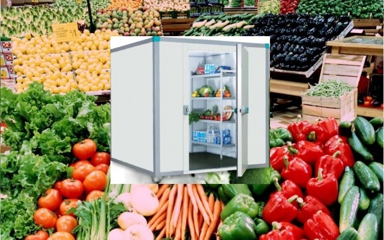 Không chỉ để làm mát: Kho lạnh mini đang trở thành hạ tầng mới của nông sản vùng cao