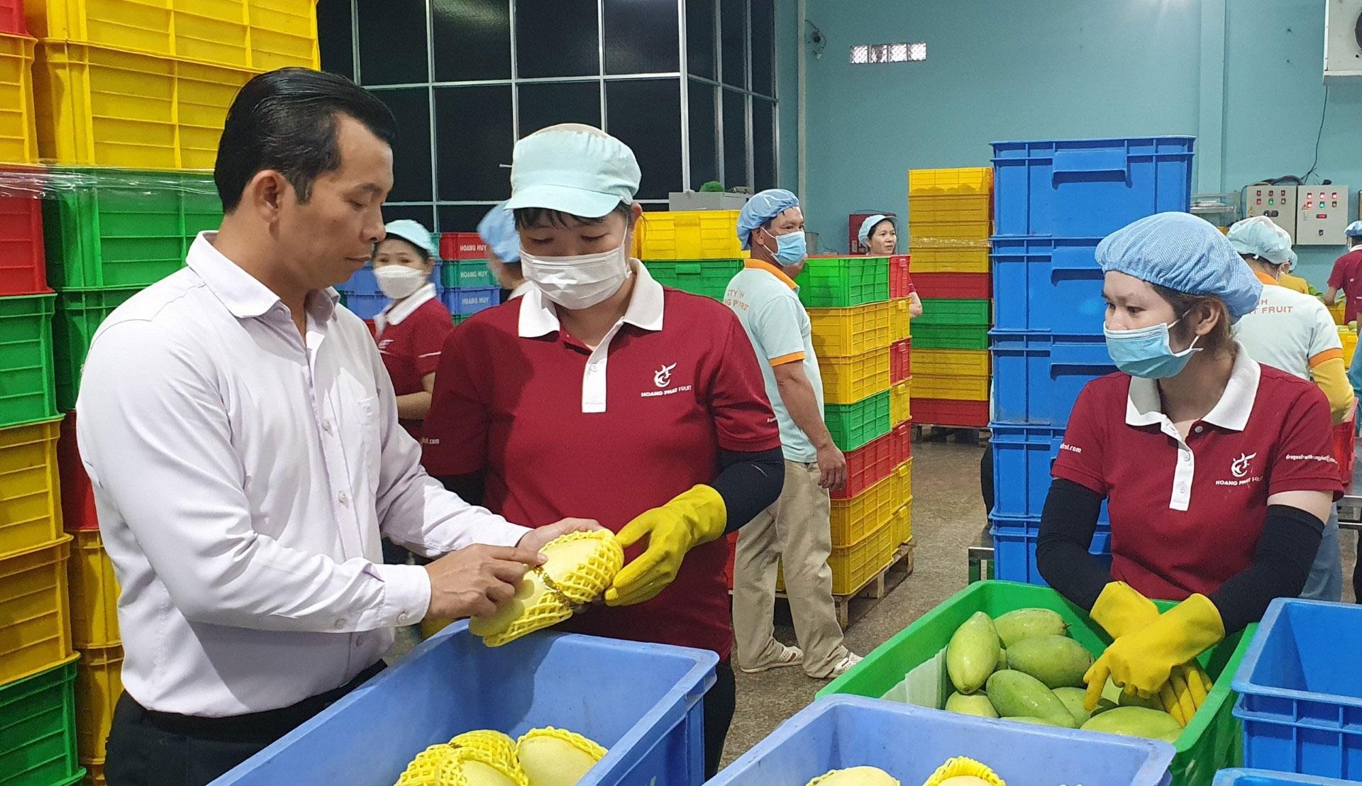 Nông sản Việt bước vào cuộc đua thương hiệu: Thoát khỏi “cái bóng” hàng hóa giá rẻ