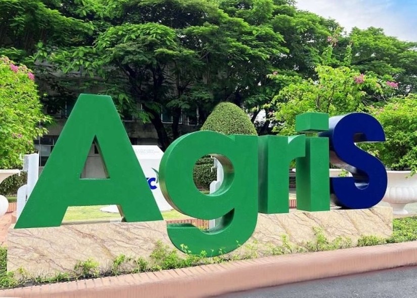 AgriS chuyển dịch nguồn thu: Gạo và thực phẩm dần trở thành động lực mới
