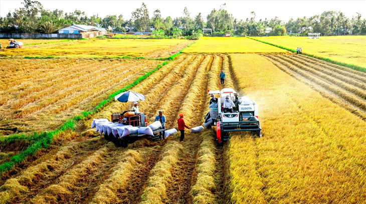 Từ máy gặt đến drone: Cơ giới hóa đang mở đường cho xuất khẩu nông sản Việt
